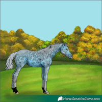 Horse Color:ERROR: UNKNOWN ANOMALY