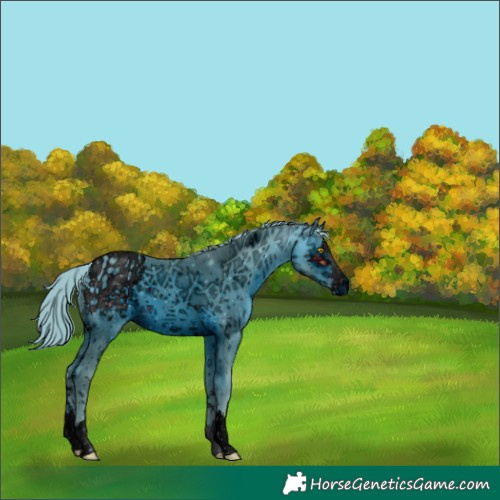 Horse Color:ERROR: UNKNOWN ANOMALY