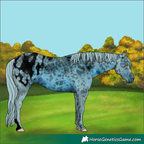 Horse Color:ERROR: UNKNOWN ANOMALY