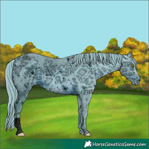 Horse Color:ERROR: UNKNOWN ANOMALY