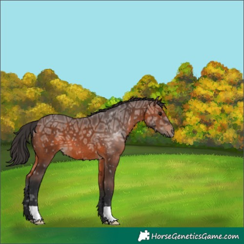 Horse Color:Brown Ice