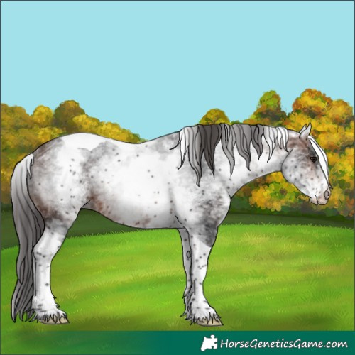 Horse Color:White Spotted Brown Ice Tobiano Rabicano 