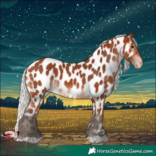 Horse Color:Silver Bay Near Leopard 
