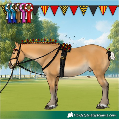 Horse Color:Silver Buckskin 