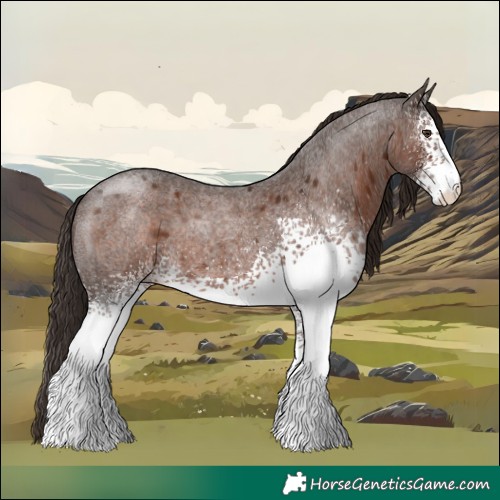 Horse Color:White Spotted Liver Red Roan 