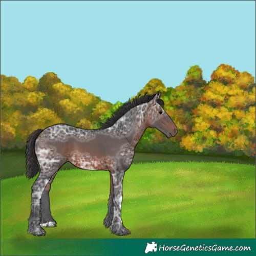 Horse Color:Brown Ice 