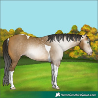 Horse Color:Gray Sable Cream Champagne Tobiano 