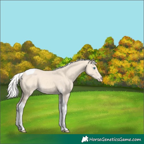 Horse Color:Silver Perlino Tobiano 