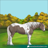 Horse Color:Silver Black Tobiano 