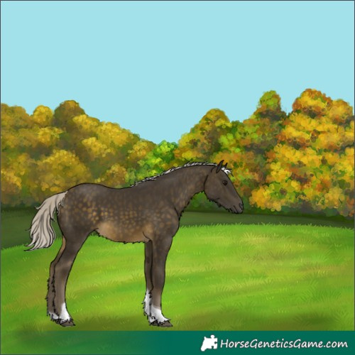 Horse Color:Silver Buckskin Tobiano 