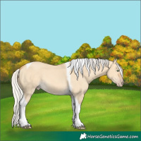 Horse Color:Silver Sable Cream Champagne Dun Tobiano 