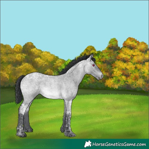 Horse Color:Brown Chinchilla Ice Roan 