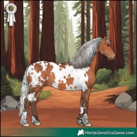 Horse Color:White Spotted Silver Brown