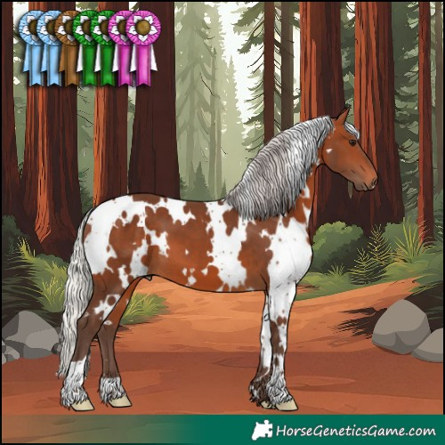 Horse Color:White Spotted Silver Brown 