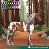 Horse Color:White Spotted Silver Brown 