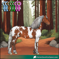 Horse Color:White Spotted Silver Brown