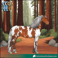 Horse Color:White Spotted Silver Brown 