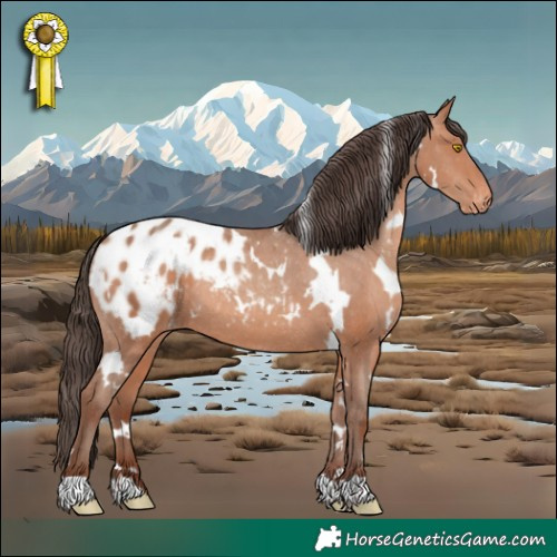 Horse Color:White Spotted Sable Champagne Appaloosa 