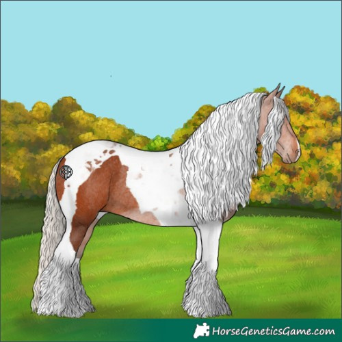 Horse Color:Silver Brown Tobiano Rabicano 