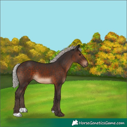 Horse Color:Silver Brown 