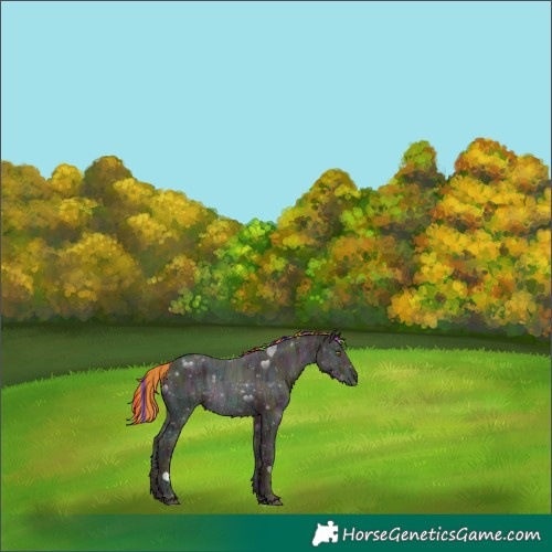 Horse Color:Painted Midnight Chestnut Ice Rabicano