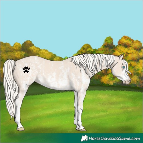 Horse Color:Cremello Sabino  and Cremello Sabino 