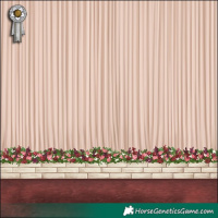 Horse Color:Red Roan  and Gold Champagne 