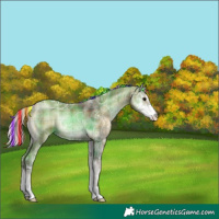 Horse Color:Painted Plaid  Silver Brown Ice Onyx Sabino 