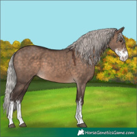 Horse Color:Silver Brown Dun Mushroom Sabino 