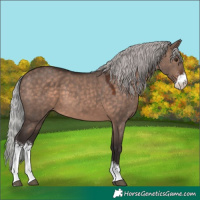 Horse Color:Silver Brown Dun Mushroom Sabino 