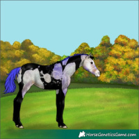 Horse Color:Void Watercolor Bay Ice Onyx Tobiano Varnish Rabicano 
