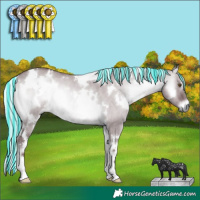 Horse Color:Painted White Spotted Chocolate Silver Grullo Chinchilla Onyx