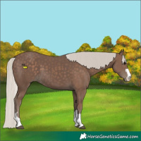 Horse Color:Silver Black 