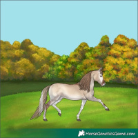 Horse Color:Red Dun Onyx 