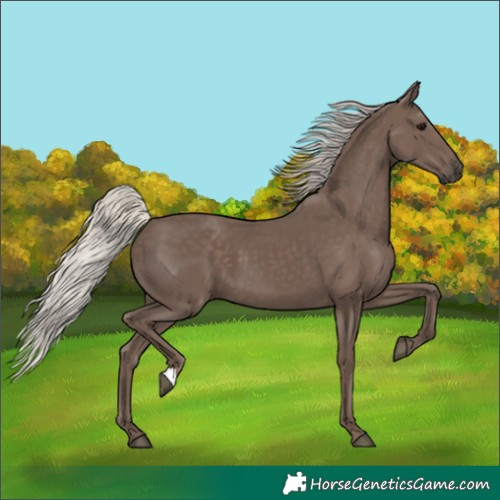 Horse Color:Silver Black 