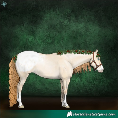 Horse Color:Smoky Grullo Pearl Sabino Blanket 