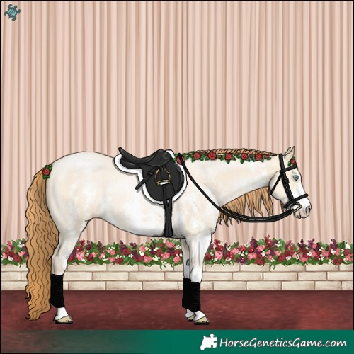 Horse Color:Smoky Grullo Pearl Sabino 