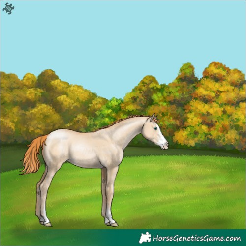Horse Color:Smoky Grullo Pearl Sabino Varnish