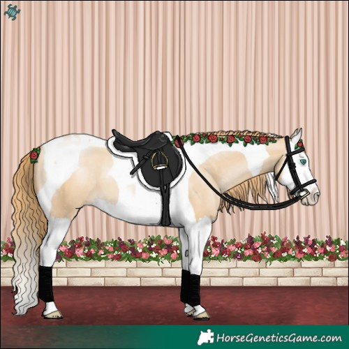Horse Color:Smoky Black Pearl Splash Tobiano 