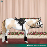 Horse Color:Smoky Black Pearl Splash Tobiano