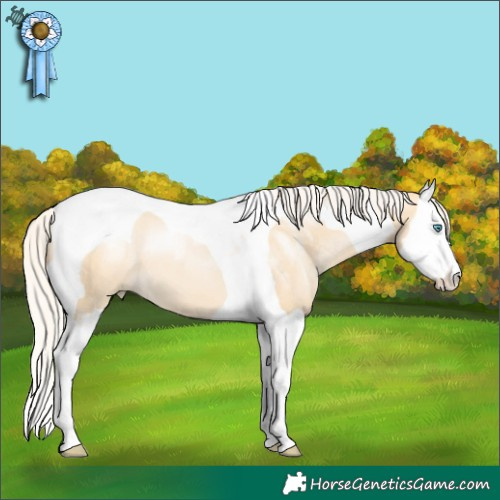 Horse Color:Silver Buckskin Pearl Dun Splash Tobiano 