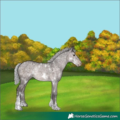 Horse Color:Platinum White Spotted Silver Bay Ice Dun Tobiano Appaloosa Rabicano 