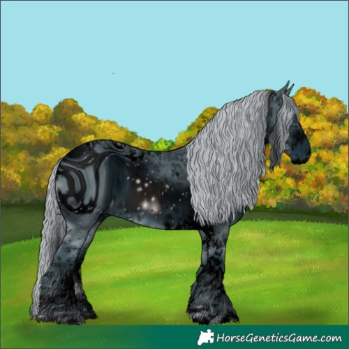 Horse Color:ERROR: UNKNOWN ANOMALY