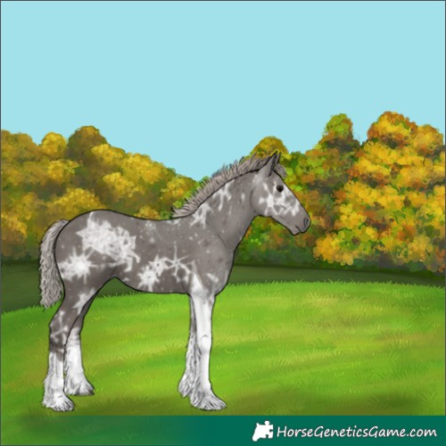 Horse Color:Silver Black Ice Tobiano 
