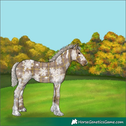 Horse Color:Plaid  White Spotted Silver Black Ice Tobiano 