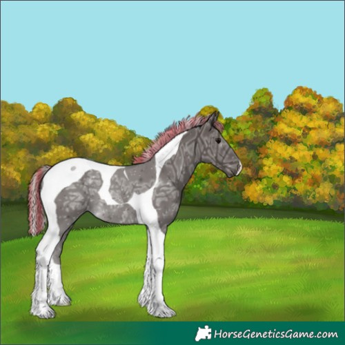 Horse Color:Painted Silver Black Ice Tobiano 