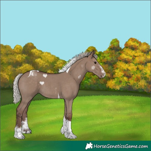 Horse Color:Silver Grullo Sabino Tobiano 