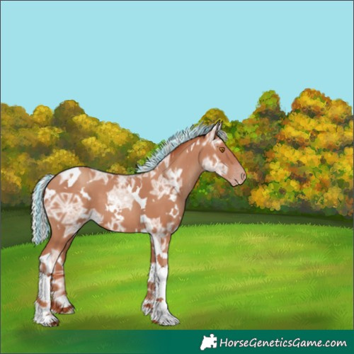 Horse Color:Painted White Spotted Silver Classic Champagne Ice Tobiano 