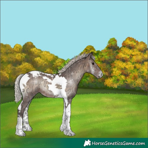 Horse Color:Silver Brown Ice Onyx Tobiano 