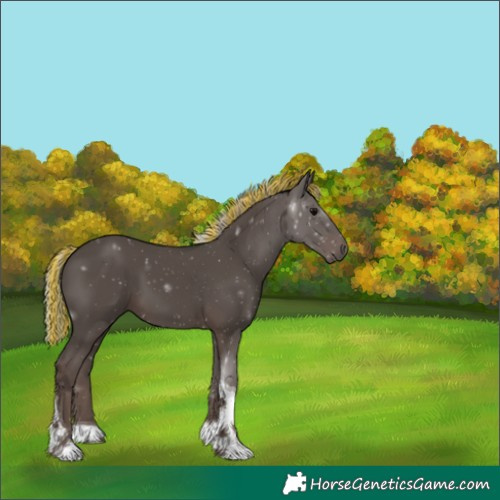 Horse Color:Painted Silver Black Tobiano 